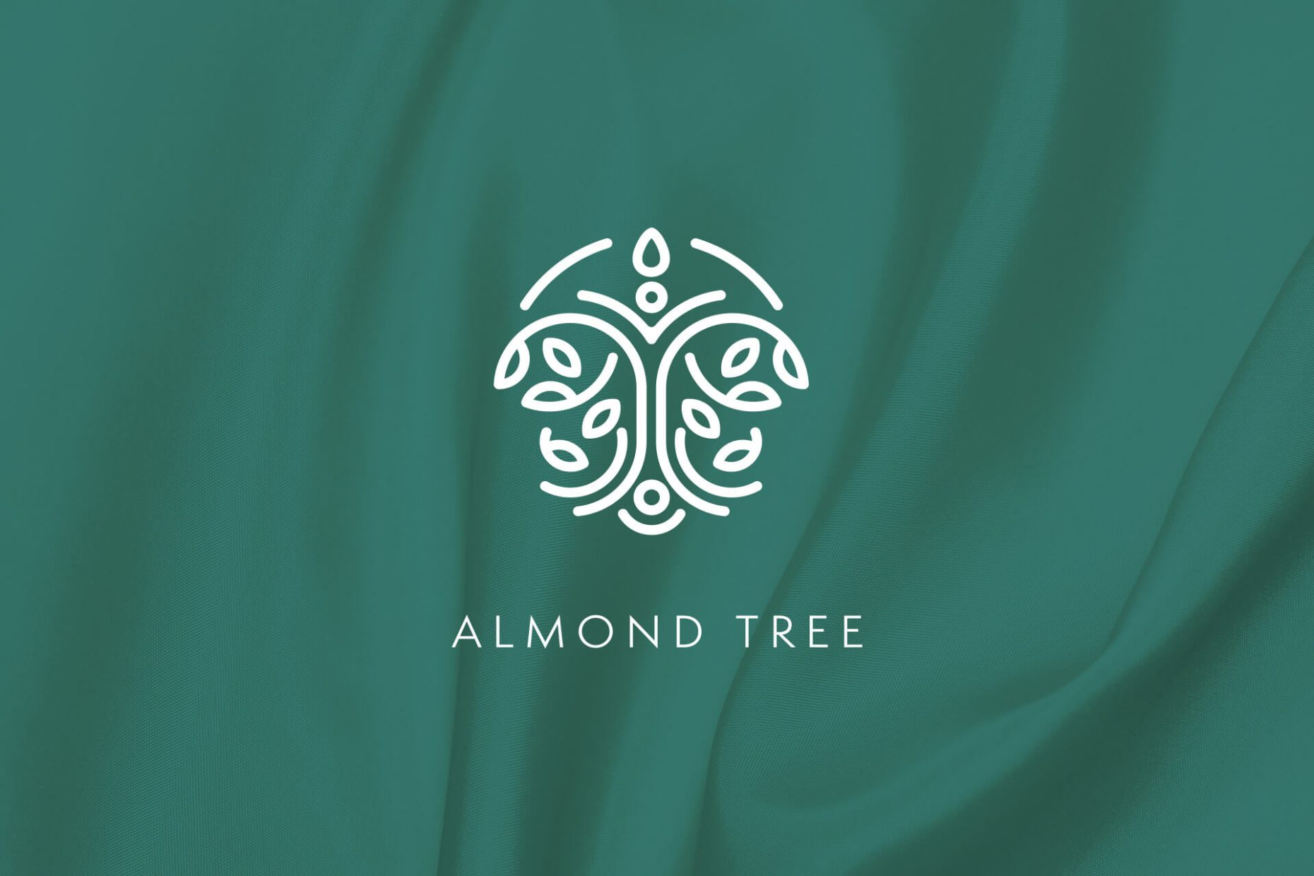 Almond Tree Branding and Web Design Feature Image